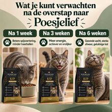 Premium Kat Graanvrij Kip